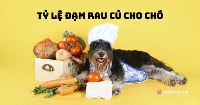 Tỷ lệ Đạm Rau củ Chất béo cho Chó trưởng thành