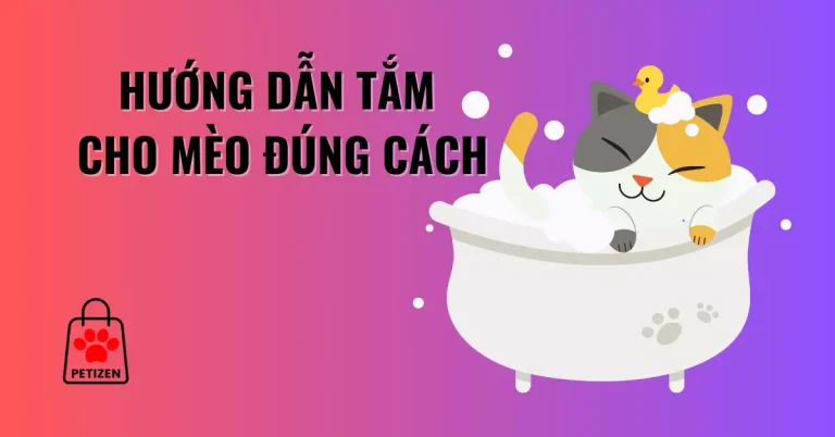 Hướng dẫn tắm cho mèo đúng cách (2024)