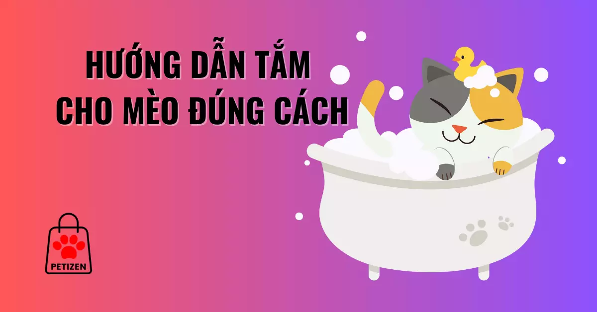 Hướng dẫn tắm cho mèo đúng cách